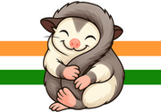 sugargliders.in